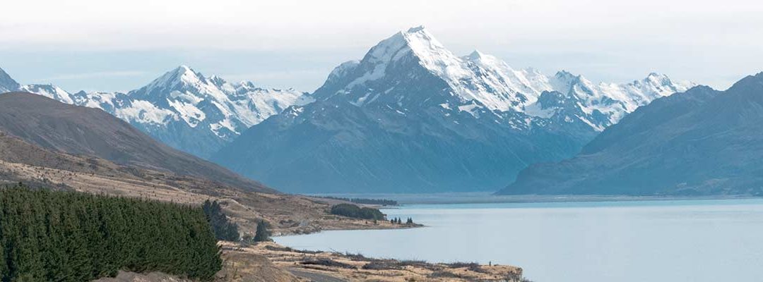 New Zealand: anticipated reopening!